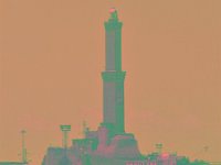 IMGP2604 edited (Medium)